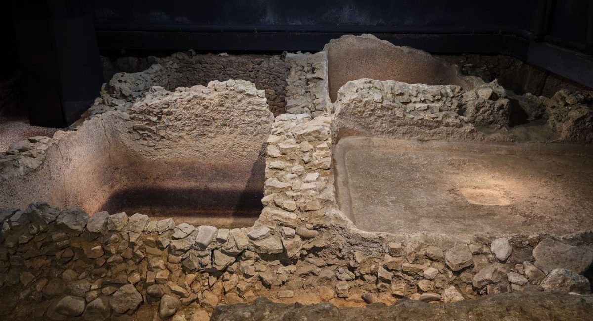 nueva factoria salazones para visitar en malaga